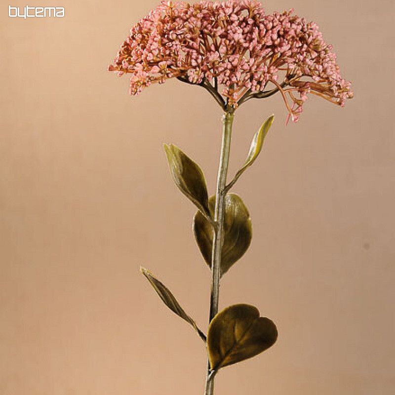 DRY FULL BLOOM SEDUM 46 cm régi rózsaszín