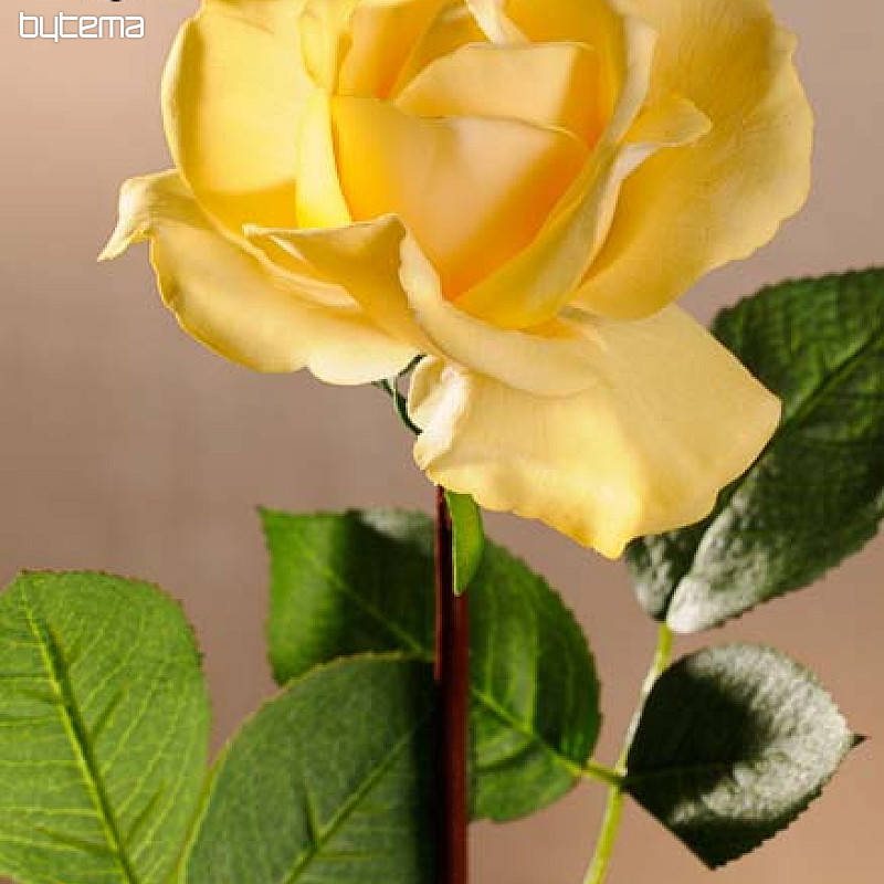 Sárga rózsa 67 cm
