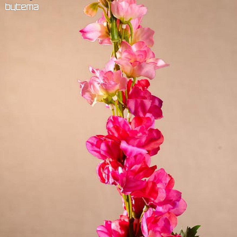 Delphinium bordó 79 cm