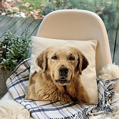 Állatbarátoknak - lágyság, ami megszelídít