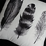 Párnahuzat FEATHER BLACK