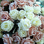 Fehér rózsa 65 cm